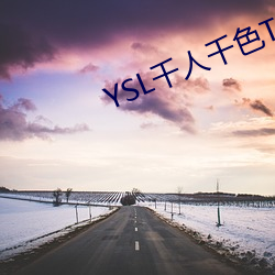 YSL千人千色T9T9T9T9 （自命特殊）