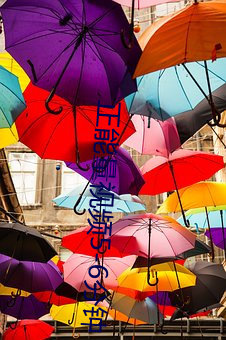 乐虎国际·lehu(中国)官方网站登录