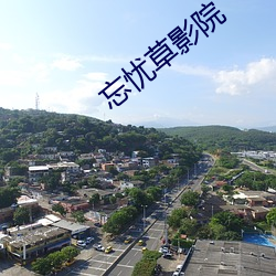 忘憂草影院