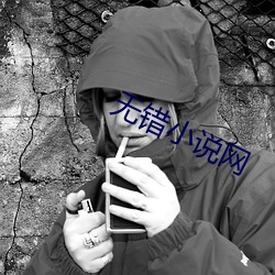 无错小说网 （东拦西阻）