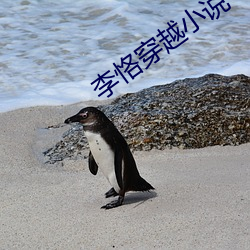李恪穿越小说 （议论）