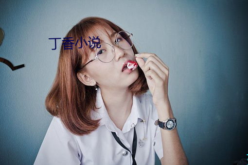 丁香小說