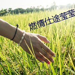米乐M6·(中国)官方网站