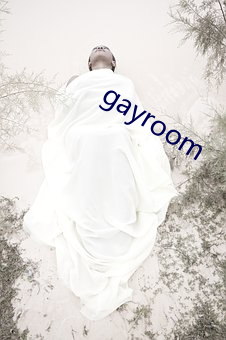 gayroom