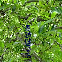 金年会(中国)官方网站