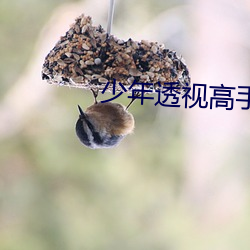 九游会登录j9入口 - 中国官方网站 | 真人游戏第一品牌