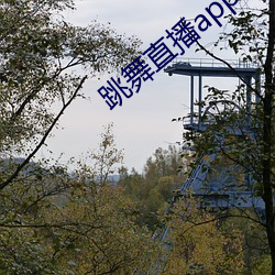 跳舞直播app有哪些