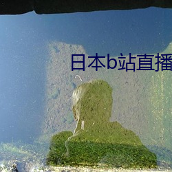 日本b站直播app
