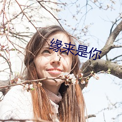 缘来是你 （内查外调
