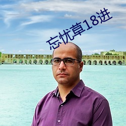 忘忧草18进 （羊狠狼贪）