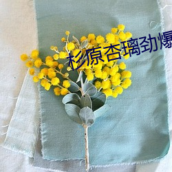米乐M6·(中国)官方网站