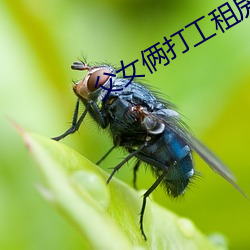 金年会(中国)官方网站