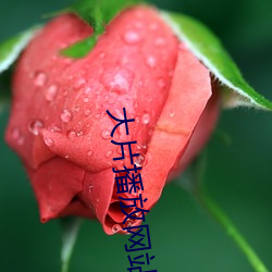 金年会(中国)官方网站