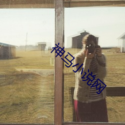 神马(馬)小(小)说网