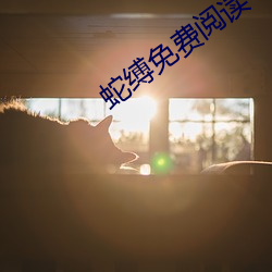 蛇縛免費閱讀