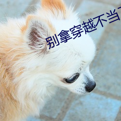 别拿穿越不当工作