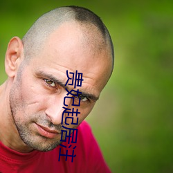 贵(guì)妃(fēi)起居注