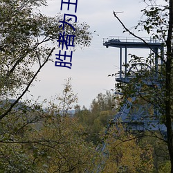 勝者爲王小說
