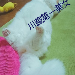 川藏第一美女