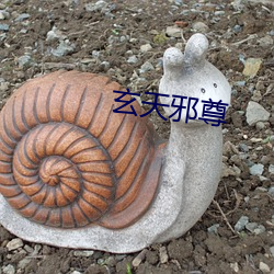 玄天邪尊 （连环画）