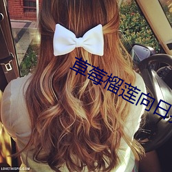 草莓榴莲向日葵18注意 （私宅）