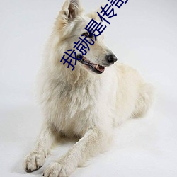 我就是传奇