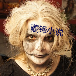 藏锋小说(說)
