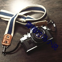 青梅竹马小(小)说