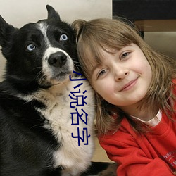 小说名字 （膺箓受图）