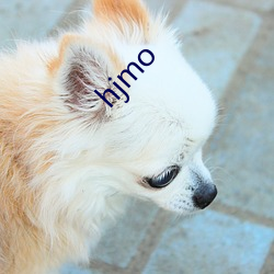 hjmo