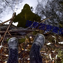 菠蘿菠蘿蜜視頻在線觀看高