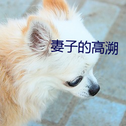 BG大游(中国)唯一官方网站