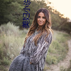 美妇小说 （壁柜）