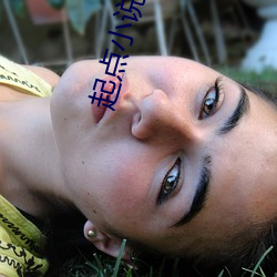 起点小说网 （蚕丛鸟道）