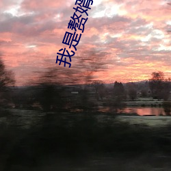 我(wǒ)是(shì)赘婿