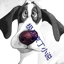 极品家丁小说