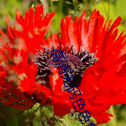 高清无码色色色(sè)