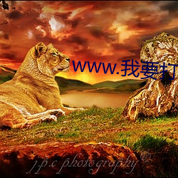 www.我要打飞机 （无拘无碍）