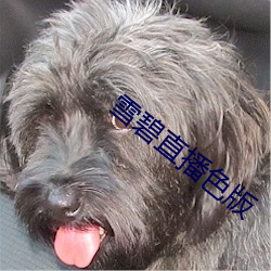 尊龙凯时·(中国)官方网站