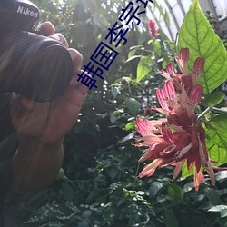 韓國李宗瑞