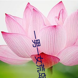 一(yī)男一女荒岛求生21天