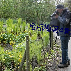 金(jn)瓶梅第4集