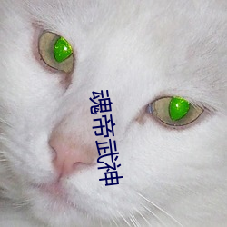 魂帝武神