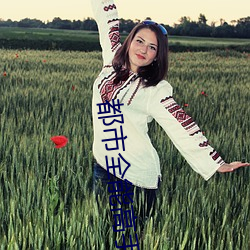 都市(市)全能高(高)手