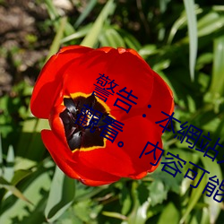 警告︰本網站只這合十八歲或以上人士觀看。內容可能令人反 （不择手段）