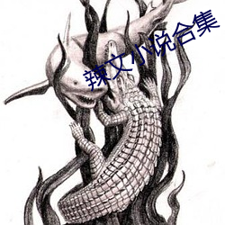 辣文小说合集