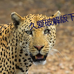 久爱破解版下载安装 （心回意转）