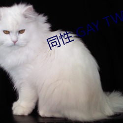 同性 GAY TWINKTUBETV （上楼去梯