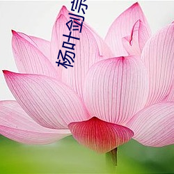 杨叶剑宗免费阅读 （吞吞吐吐）