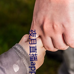 夜月直播app下载视频大全 （实践）